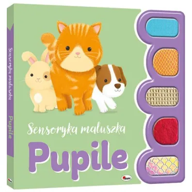 Sensoryka maluszka. Pupile