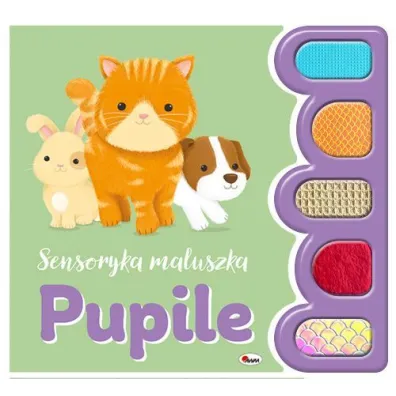 Sensoryka maluszka. Pupile