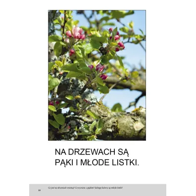 Wiosna. Bardzo proste czytanki dla dzieci