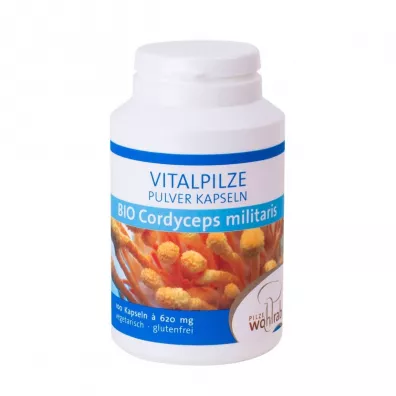 Pilze Wohlrab Grzyby cordyceps militaris (maczu�nik bojowy) (500 mg) Suplement diety 100 kaps. Bio