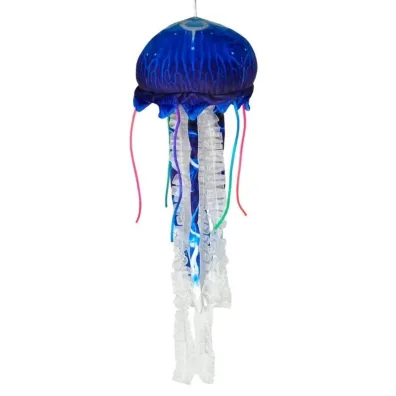 Meduza niebieska Dubi