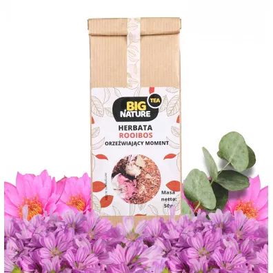 Big Nature Herbata rooibos Orzewiajcy Moment 50 g