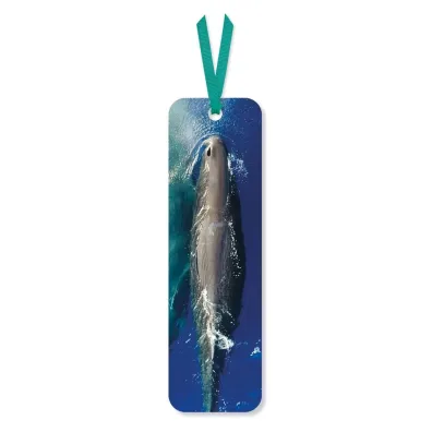 Museums & Galleries Zak�adka do ksi��ki Sperm Whale