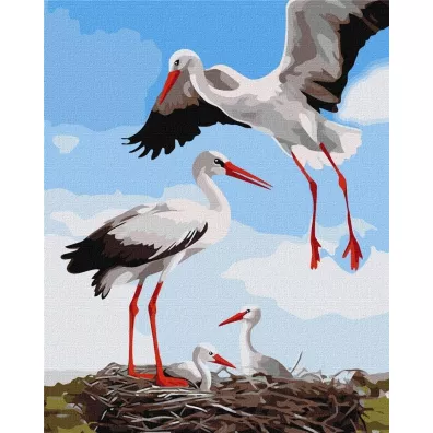 Ideyka Malowanie po numerach - Rodzina bocian�w 40x50cm