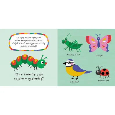 M�j kolorowy quiz. ��KA