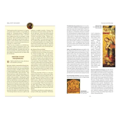 Biblia. Nowy Testament. Tekst – komentarz – ilustracje