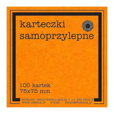 Ziemia Obiecana Karteczki samoprzylepne Fluo 100 kartek