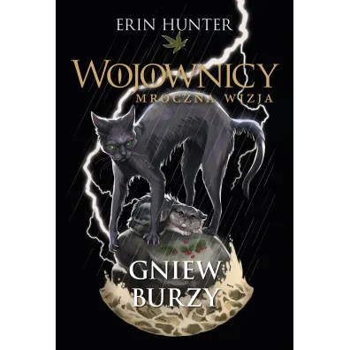 Gniew burzy. Cykl Wojownicy. Mroczna wizja. Tom 6 - Erin Hunter