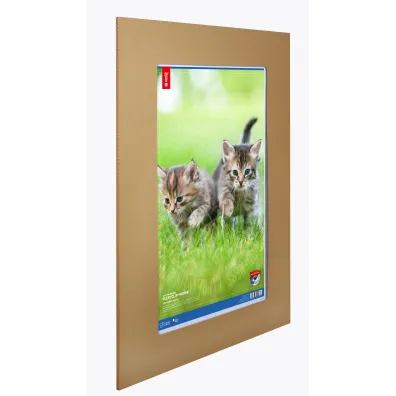 Antyrama B2 pleksi MEMOBE 50x70 cm.