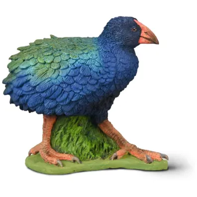 Takahe po�udniowy