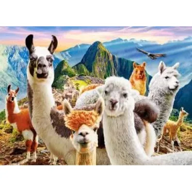 Puzzle 200 el. Llamas Selfie Castorland