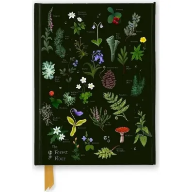 Flame Tree Notatnik A5 linia TW Le�na �ci�ka Anna Stead