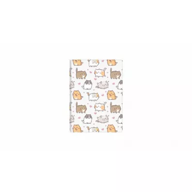 Biurfol Notes A6 kittens kratka