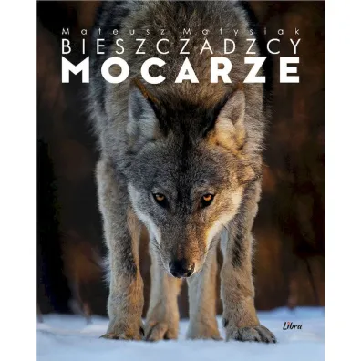 BIESZCZADZCY MOCARZE OK�ADKA Z WILKIEM - Mateusz Matysiak
