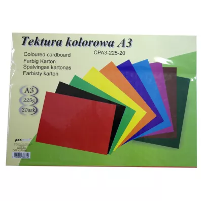Polsirhurt Tektura A3 kolorowa mix 20szt