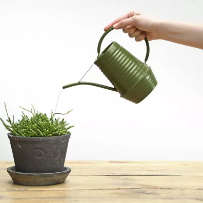 Esschert Design Ozdobna konewka 1 l
