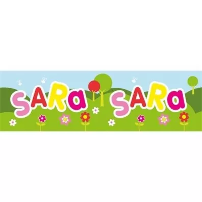 John Hinde Bidon Sara 300 ml