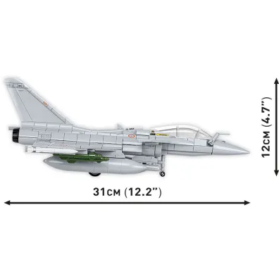 Armed Forces. Dessault Rafale C