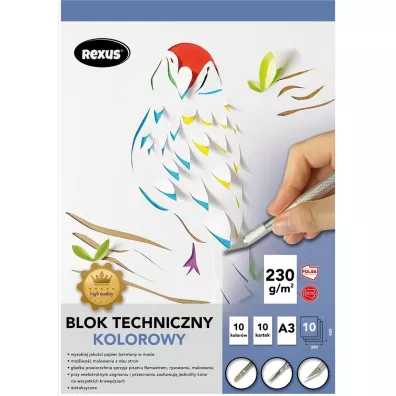 Beniamin Blok techniczny kolorowy A3 10 kartek