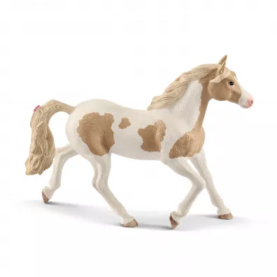 Klacz Paint horse Mare SLH13884