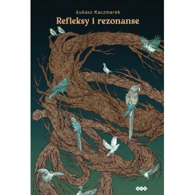 Refleksy i rezonanse - �ukasz Kaczmarek