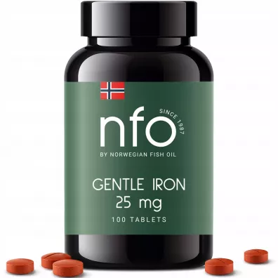 Nfo Gentle Iron Suplement diety 100 tab.