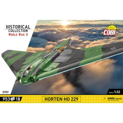 HC WWII Horten Ho 229