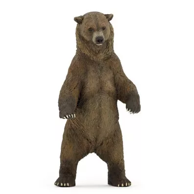 Nied�wied� Grizzly