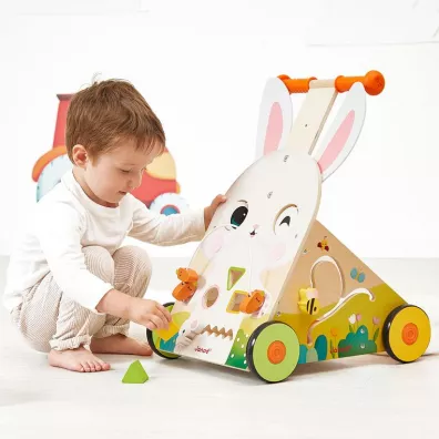 Wielofunkcyjny pchacz edukacyjny Farma 12 m+ Janod