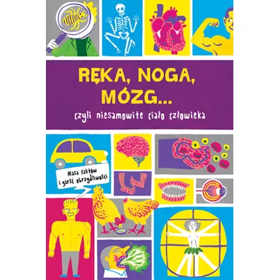 R�ka noga m�zg prawie wszystko o ciele cz�owieka - Guy Macdonald, Paul  Cemmick