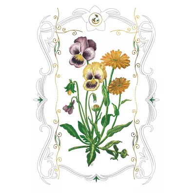 DaVinci Karnet B-BD 502 066 + koperta Bratki 12x18 cm
