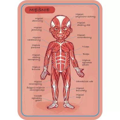 Puzzle Ukadanka magnetyczna Ciao czowieka Janod
