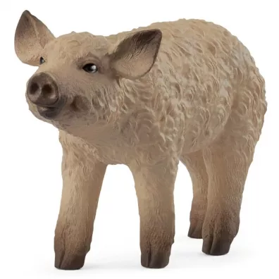 Prosi Mangalica