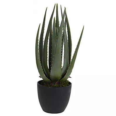 ProGarden Sztuczny Aloes w donicy 45 cm Zielony