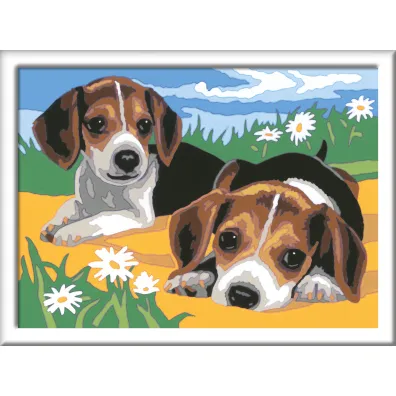 Malowanie po numerach CreArt - Szczeniaczki Jack Russel Ravensburger