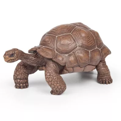 ��w z Galapagos