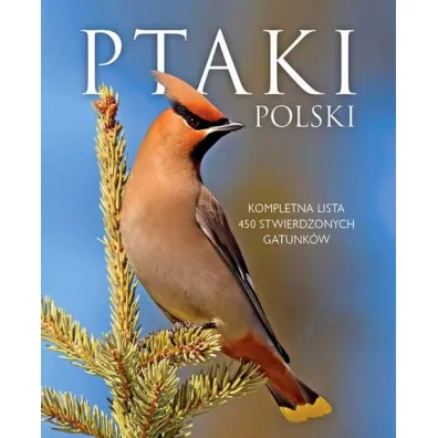 Ptaki polski - Dominik Marchowski