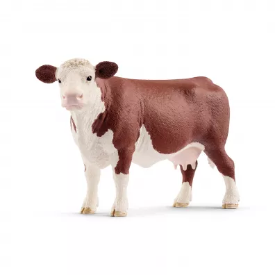 Krowa rasy Hereford