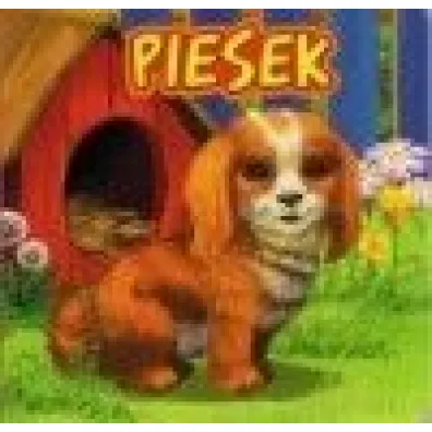 Piesek. Wydawnictwo Jafi - Katarzyna Campbell