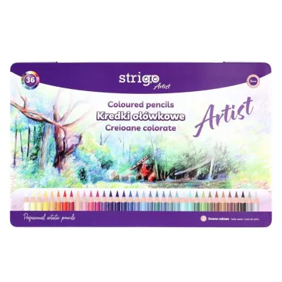 Strigo Kredki owkowe okrge Artist 36 kolorw