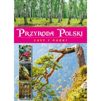 Przyroda Polski Lasy i Parki - �aneta  Zaj�c