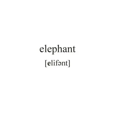 English vocabulary Animals