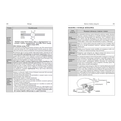 Tablice: matematyka, fizyka z astronomi�, chemia, geografia, biologia