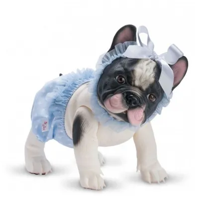 Piesek Lily Buldog Francuski