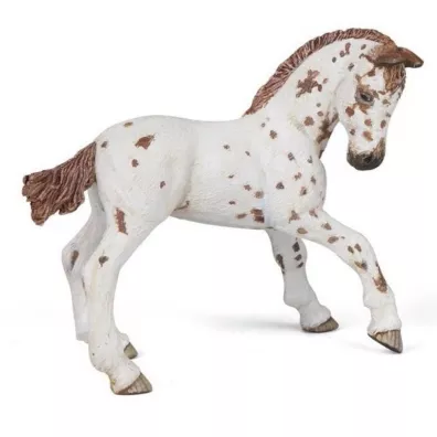 �rebi� Appaloosa