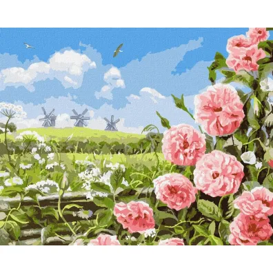 Ideyka Malowanie po numerach - Delikatno�� p�l 40x50cm
