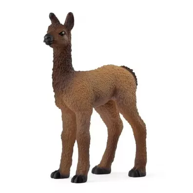 ma�a Lama