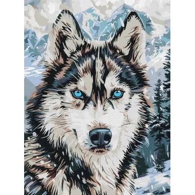 Ideyka Malowanie po numerach - Oczy p�nocy 30x40cm