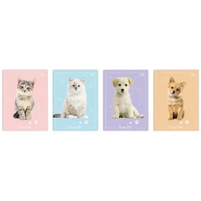 Interdruk Zeszyt do s��wek A6 Puppy Sign 32 kartki 10 szt.