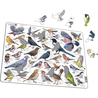 Puzzle Larsen Ptaki ogrodowe LA-ZOO 37710